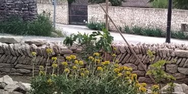 Mur de clôture au Hameau « les Martins » - Gordes
