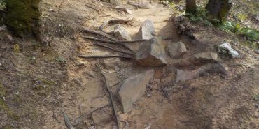 Exemple de chemin à nettoyer (pierres, racines)