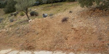 Aménagement d'un talus - Vaugines