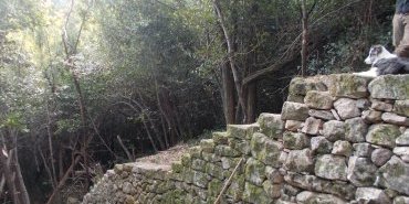 Cheminement en escalier - Ardèche